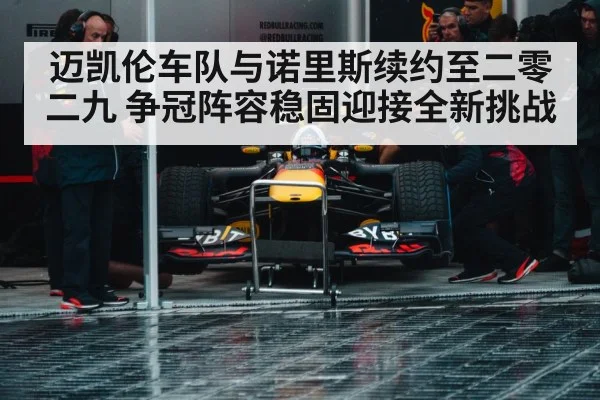 Formula 1 race action